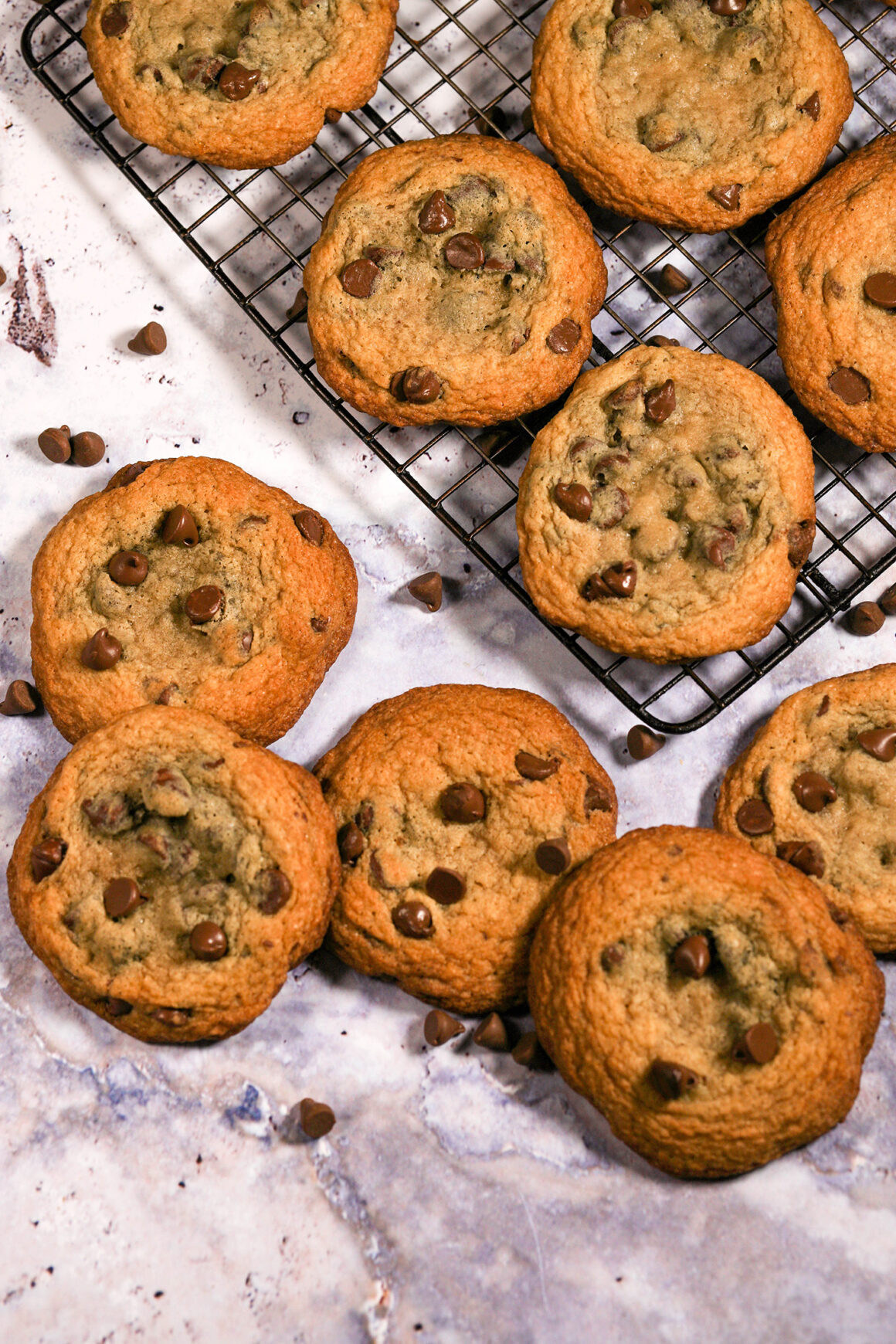 Fresh Chewy Chocolate Chip Cookies